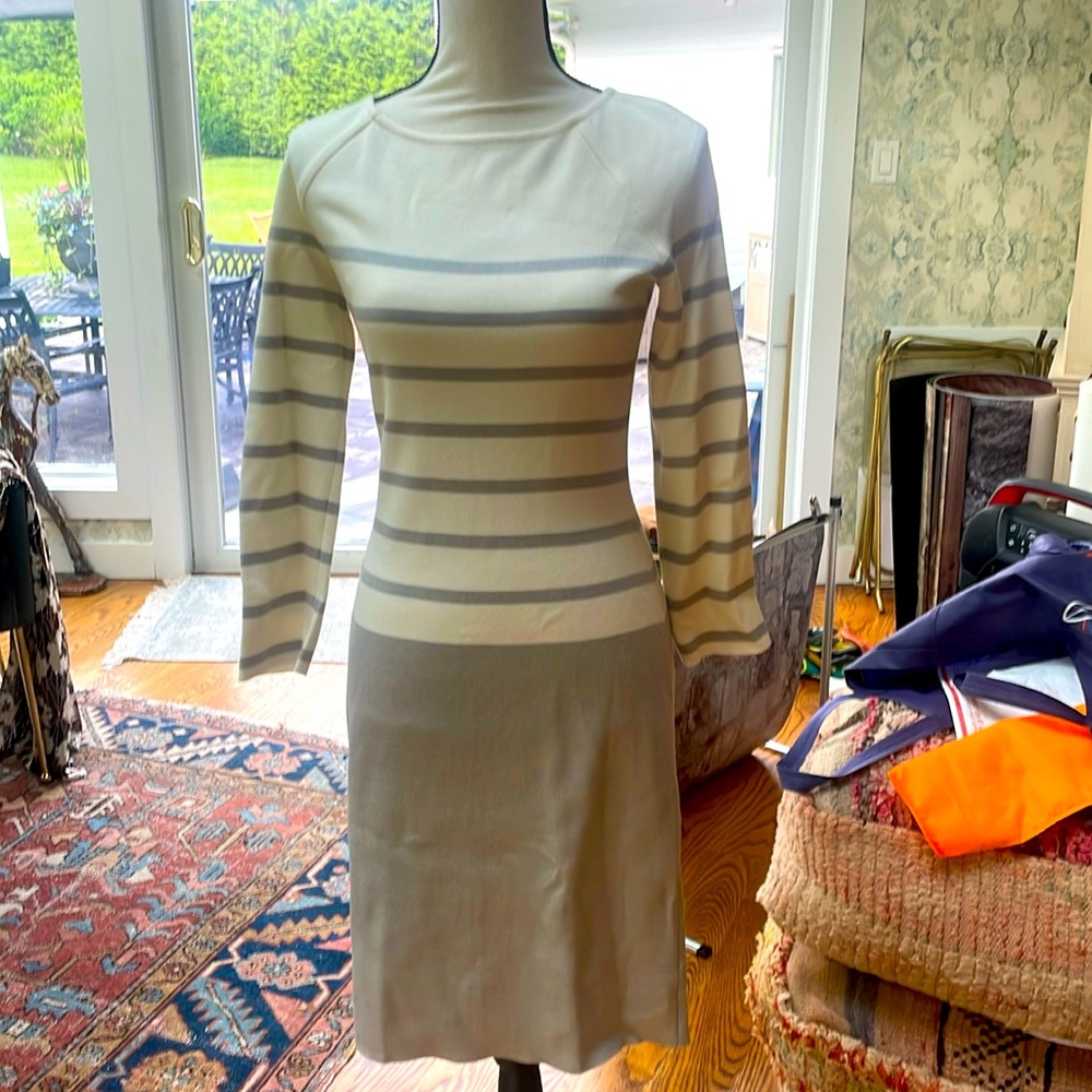 NWT St. John’s Classic Light Fitted Sweater Dress Size 2
